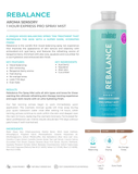 Minetan Rebalance Pro Mist 33.8 oz Spray Tanning Solutions MineTan