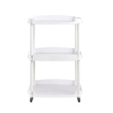DIR Spa Roller Cart Salon Equipment Dream In Reality