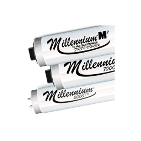 Millennium M2 3.15 FR71 160/180W Bi-Pin Tanning Lamps Lamps Millennium 4 x Millennium M2 3.15 FR71 160/180W Bi-Pin Tanning Lamps