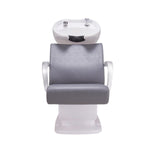 DIR Shampoo Backwash Unit Beckman - 7198 Salon Equipment Dream In Reality
