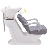 DIR Shampoo Backwash Unit Beckman - 7198 Salon Equipment Dream In Reality