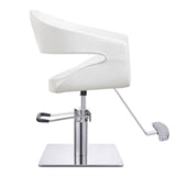 DIR Styling Chair Gama-1131 Salon Equipment Dream In Reality