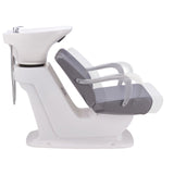 DIR Shampoo Backwash Unit Beckman - 7198 Salon Equipment Dream In Reality