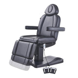 DIR Facial Beauty Bed & Chair Ink - Electrical Hand and Foot Remote-8103 Salon Equipment Dream In Reality