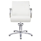 DIR Styling Chair Meteor-1198 Salon Equipment Dream In Reality
