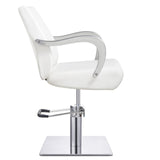 DIR Styling Chair Meteor-1198 Salon Equipment Dream In Reality
