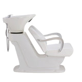 DIR Shampoo Backwash Unit Beckman - 7198 Salon Equipment Dream In Reality