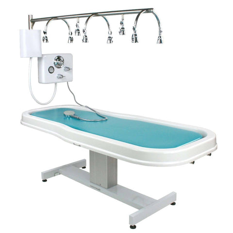 Touch America Neptune Battery/Vichy Shower Package 82005 Salon Equipment Touch America