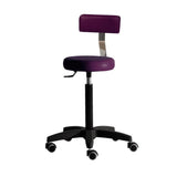 Salon Ambience CS/400 Gilera Stool w/Backrest Salon Equipment Salon Ambience
