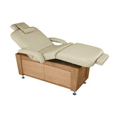 Touch America Viola PowerTilt Salon Equipment Touch America