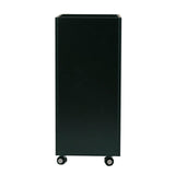 DIR Shampoo Cart- 5007 Salon Equipment Dream In Reality