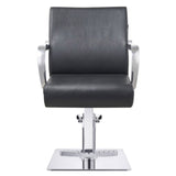 DIR Styling Chair Meteor-1198 Salon Equipment Dream In Reality