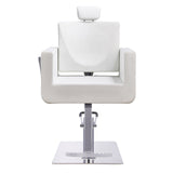 DIR All Purpose Reclining Chair Tetris-1294 Salon Equipment Dream In Reality