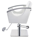 DIR Styling Chair Bello-1902 Salon Equipment Dream In Reality