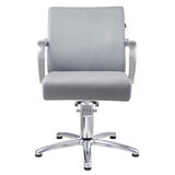 DIR Styling Chair Meteor-1198 Salon Equipment Dream In Reality