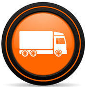 Shipping Option