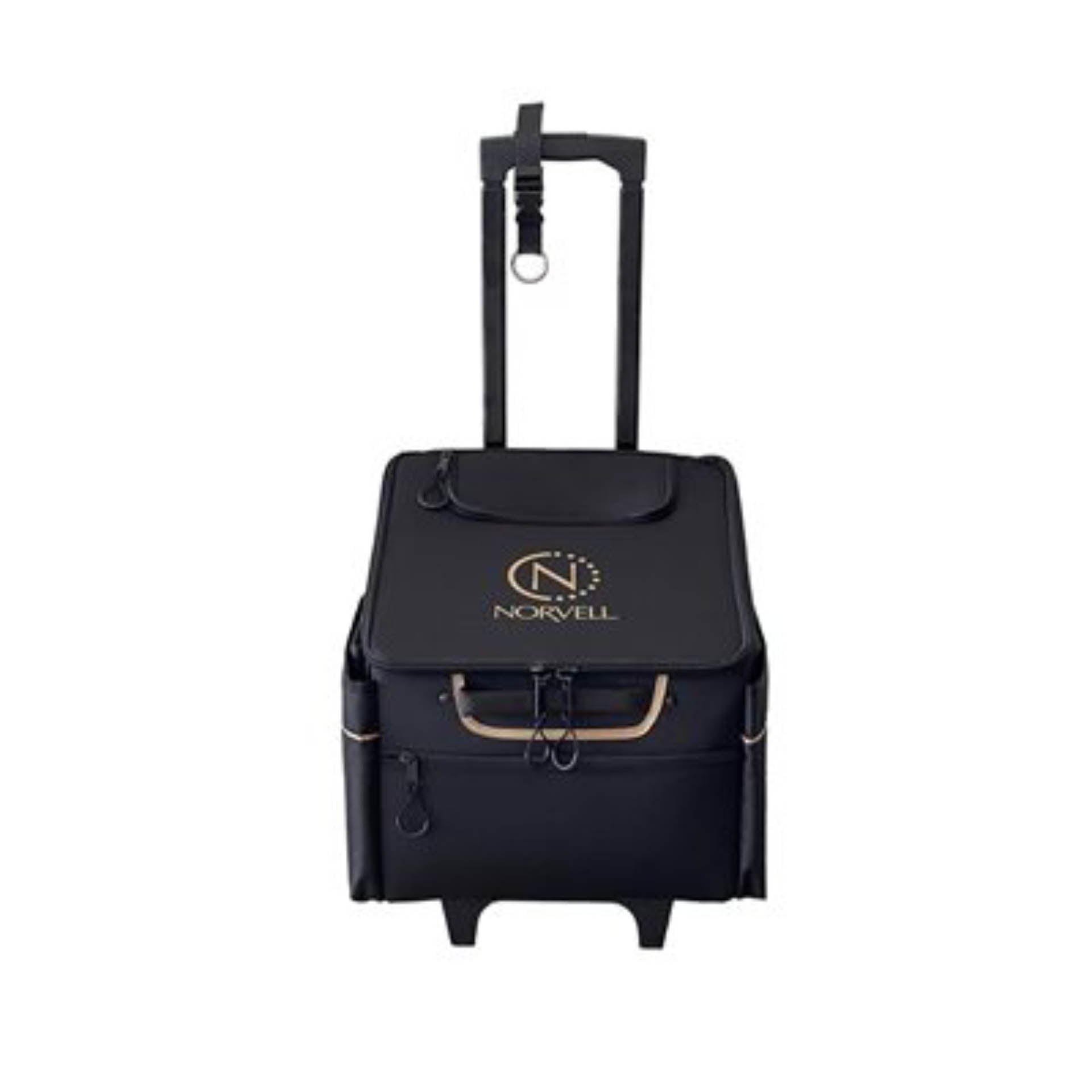 Norvell Pro Sunless Travel Kit (Z-3000) with Supplies and Training