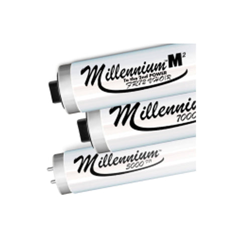 Millennium M2 3.15 FR71 160/180W Bi-Pin Tanning Lamps