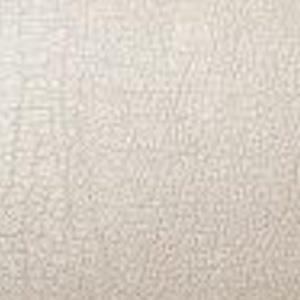 Upholstery Color OPTIONS_HIDDEN_PRODUCT Sun Tanning Store 10 CHAMPAGNE 