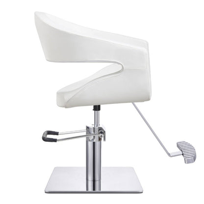 DIR Styling Chair Gama-1131 Salon Equipment Dream In Reality 