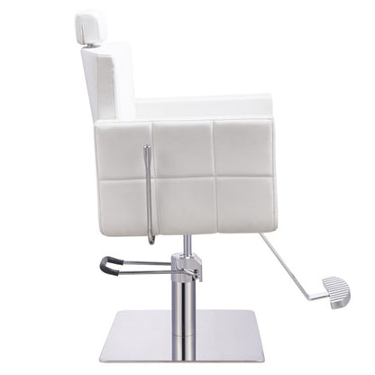DIR All Purpose Reclining Chair Tetris-1294 Salon Equipment Dream In Reality 
