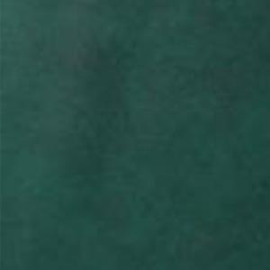 Color OPTIONS_HIDDEN_PRODUCT Sun Tanning Store 45 CLASSIC GREEN 