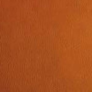 Color OPTIONS_HIDDEN_PRODUCT Sun Tanning Store 53 MANGO 