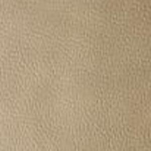 Upholstery Color OPTIONS_HIDDEN_PRODUCT Sun Tanning Store 62 TEA 