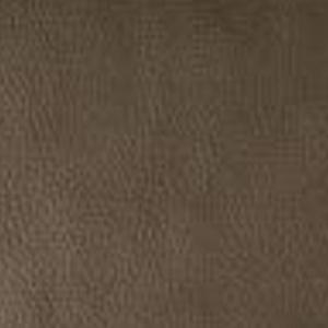 Upholstery Color OPTIONS_HIDDEN_PRODUCT Sun Tanning Store 63 CAPPUCCINO 