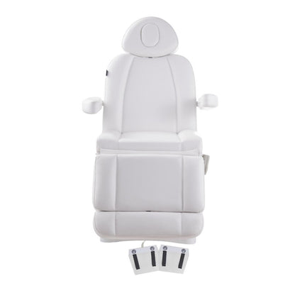 DIR Facial Beauty Bed & Chair Ink - Electrical Hand and Foot Remote-8103 Salon Equipment Dream In Reality 