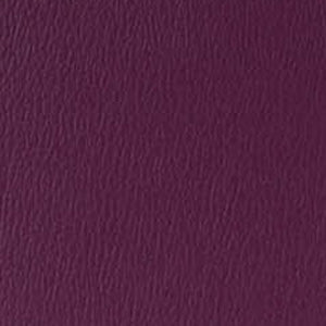 Upholstery Color OPTIONS_HIDDEN_PRODUCT Sun Tanning Store 