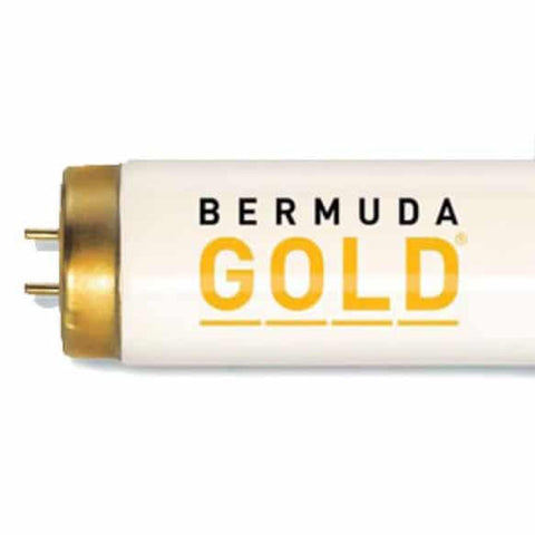 Bermuda Gold 160W FR71 Premium Bi-Pin Tanning Lamps