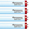Rejuvenessence FR71 Bi-Pin 100 Watt Red Light Therapy Lamps