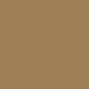 Upholstery Color OPTIONS_HIDDEN_PRODUCT Sun Tanning Store Camel-64 