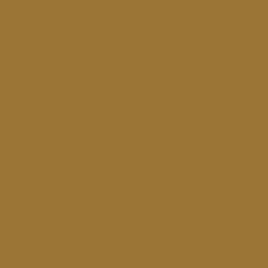 Chair Color OPTIONS_HIDDEN_PRODUCT Sun Tanning Store Caramel 