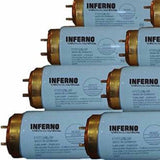Wolff Inferno XP 2645 F71 100w Bi-Pin Tanning Lamps