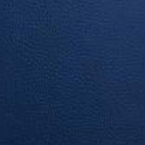 Upholstery Color OPTIONS_HIDDEN_PRODUCT Sun Tanning Store G9 ROYAL BLUE 