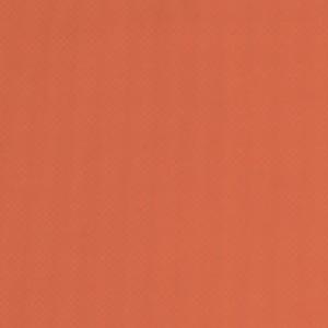 Color OPTIONS_HIDDEN_PRODUCT Sun Tanning Store H7 ORANGE SATIN 