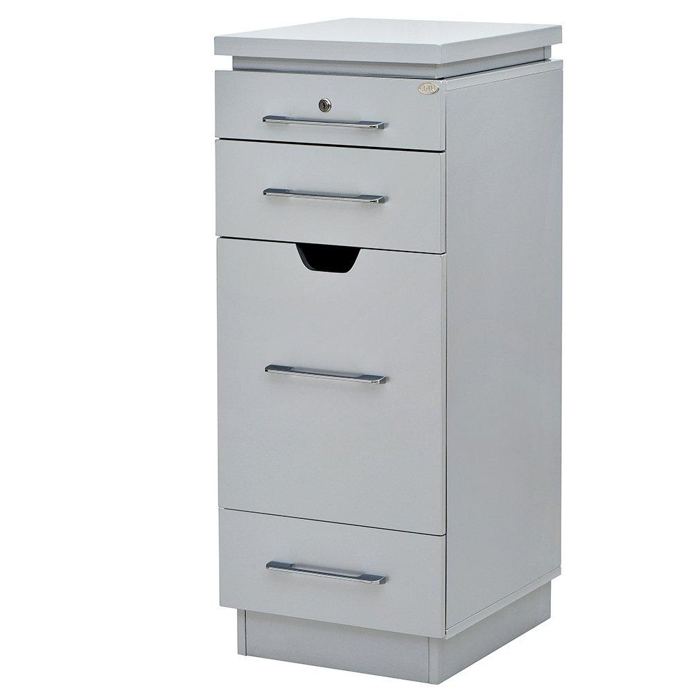 DIR Trolley Cart Romance - Large 5312 Salon Equipment Dream In Reality Silver No Top Protector 